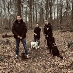 Menschen und Hunde im herbstlichen Wald spazieren.