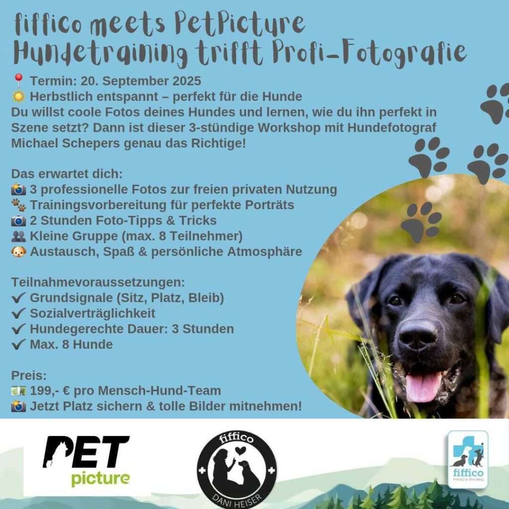 Hundetraining und Fotografie-Workshop Ankündigung mit Hundebild.