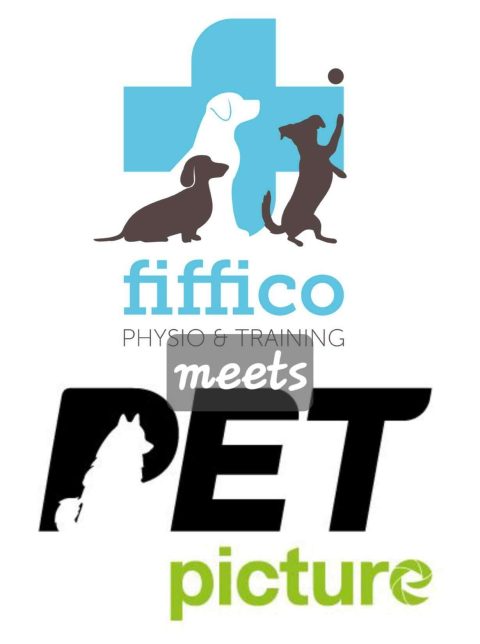 Fificos Logo mit Hundeabbildungen und Text Pet Picture